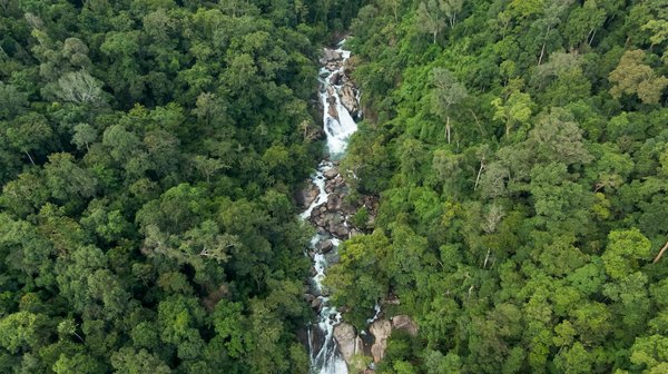 Pourquoi faire une formation Illustrator ?