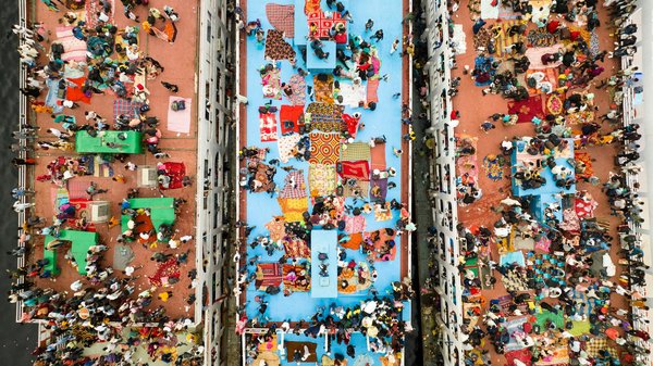 Quels sont les avantages du bois pour la fabrication de toilettes sèches ?