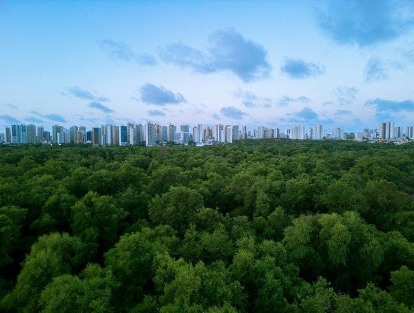 Quels sont les divers matériels utilisés dans le domaine de la plomberie ?