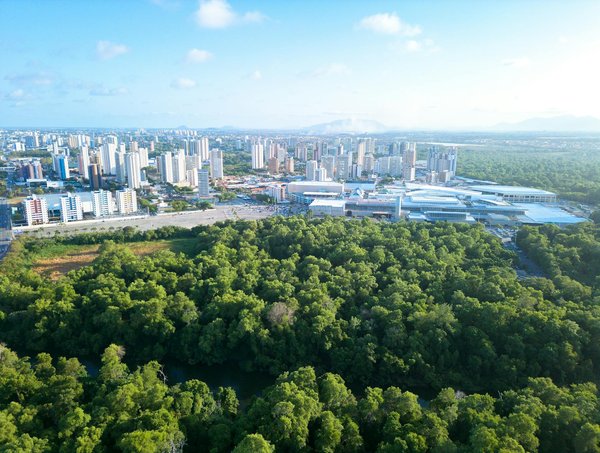 Colombes immobilier : guide complet pour acheter, vendre et gérer