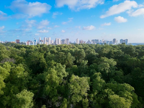 Quand arrêter de boire pour ne pas se lever la nuit ?