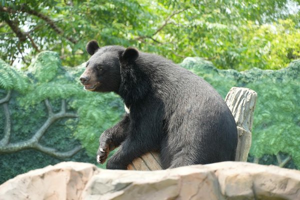 Découvrez le meilleur coffret dégustation de whisky