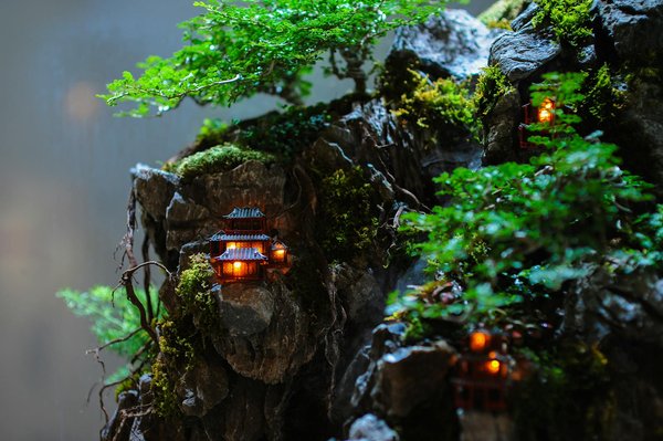 Quel budget prévoir pour un séjour linguistique au Etats-Unis ?