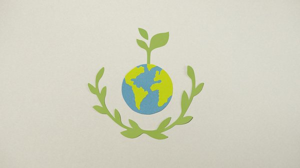 Les bienfaits thérapeutiques d'un canapé convertible en tissu : comment choisir et entretenir le modèle idéal